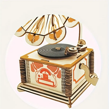 🎵 Gramafoni Vintage
